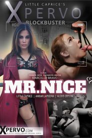 Mr. Nice