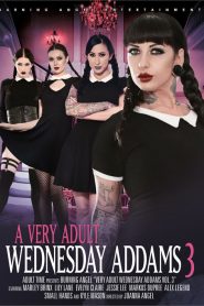 A Very Adult Wednesday Addams 3
